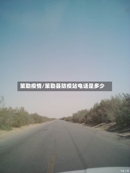 策勒疫情/策勒县防疫站电话是多少