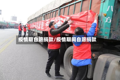 疫情期自愿捐款/疫情期间自愿捐款