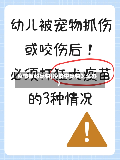 疫情被封宠物(疫情中宠物怎么办)