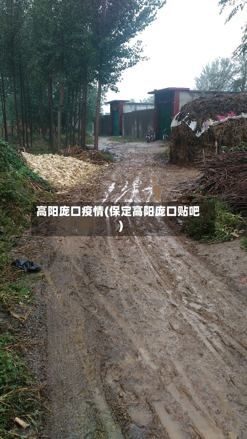 高阳庞口疫情(保定高阳庞口贴吧)