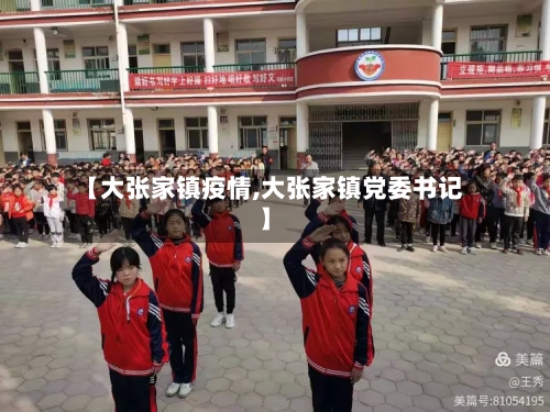 【大张家镇疫情,大张家镇党委书记】
