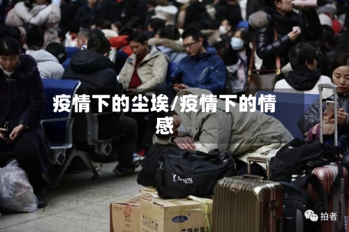 疫情下的尘埃/疫情下的情感