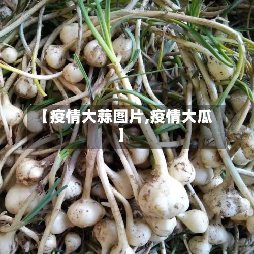 【疫情大蒜图片,疫情大瓜】