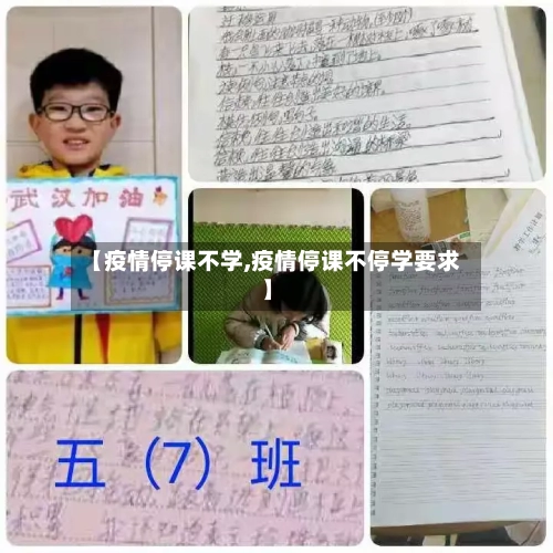 【疫情停课不学,疫情停课不停学要求】