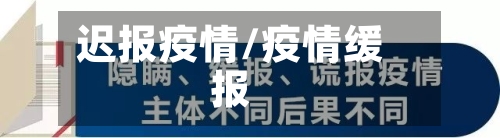 迟报疫情/疫情缓报