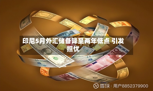 印尼5月外汇储备降至两年低点 引发担忧