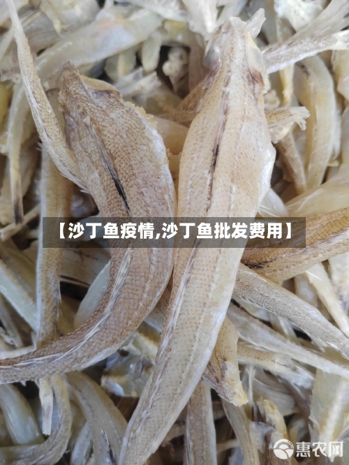 【沙丁鱼疫情,沙丁鱼批发费用】