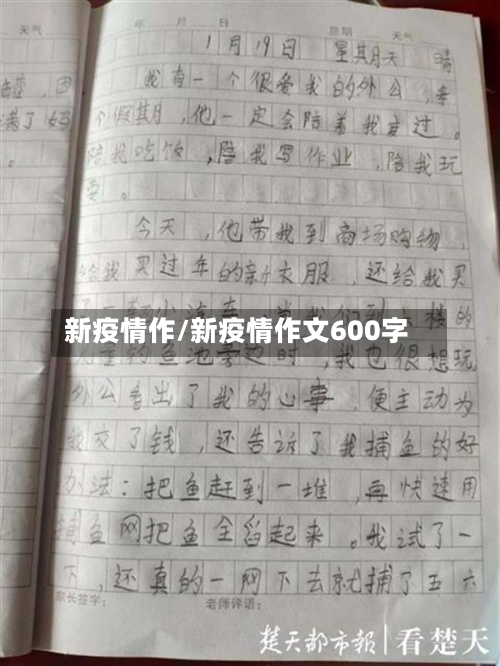 新疫情作/新疫情作文600字