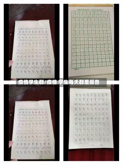 疫情学生群/疫情 学生每天群里报告
