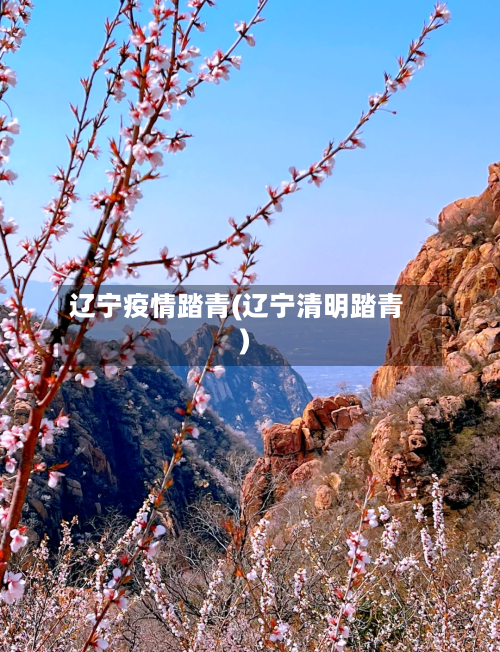 辽宁疫情踏青(辽宁清明踏青)