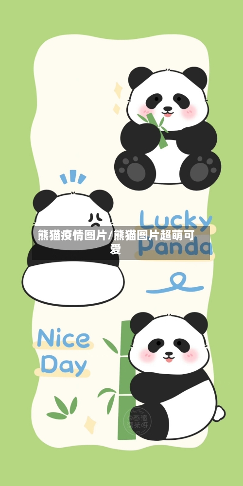熊猫疫情图片/熊猫图片超萌可爱