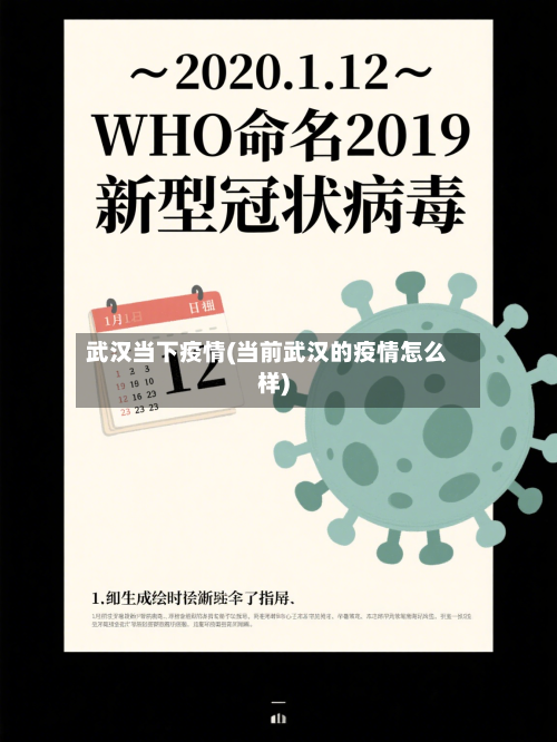 武汉当下疫情(当前武汉的疫情怎么样)