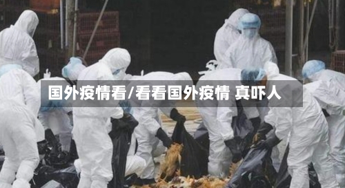 国外疫情看/看看国外疫情 真吓人