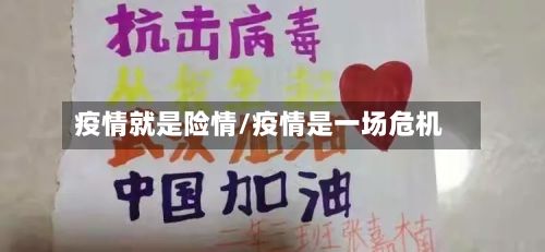 疫情就是险情/疫情是一场危机