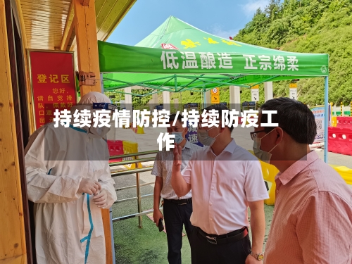 持续疫情防控/持续防疫工作