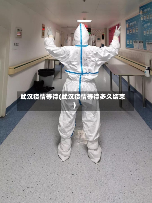 武汉疫情等待(武汉疫情等待多久结束)