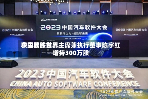 中国软件世界获主要股东、主席兼执行董事陈宇红增持300万股