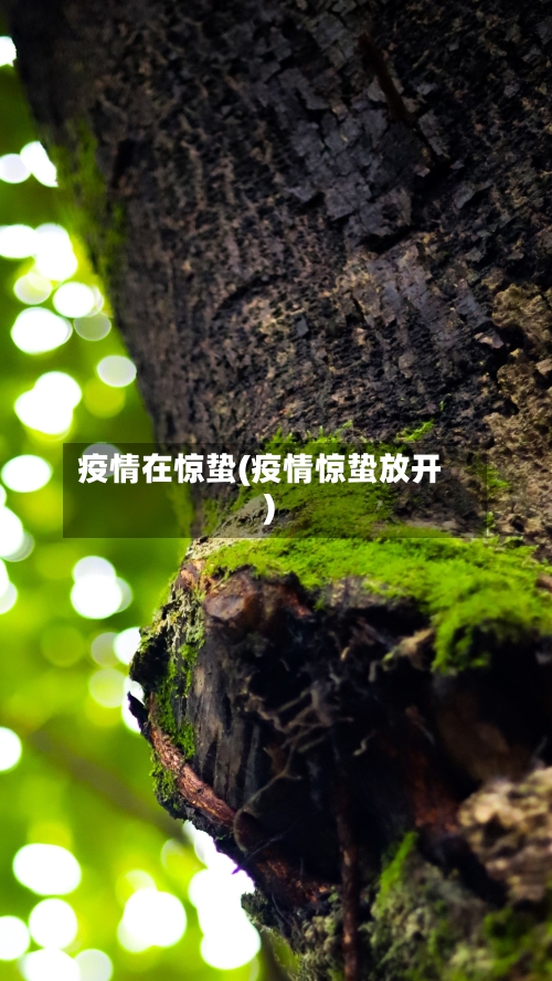 疫情在惊蛰(疫情惊蛰放开)