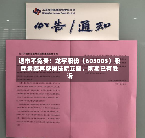 退市不免责！龙宇股份（603003）股民索赔再获得法院立案，前期已有胜诉
