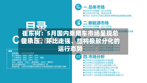 崔东树：5月国内乘用车市场呈现总量承压、环比走强、结构极致分化的运行态势