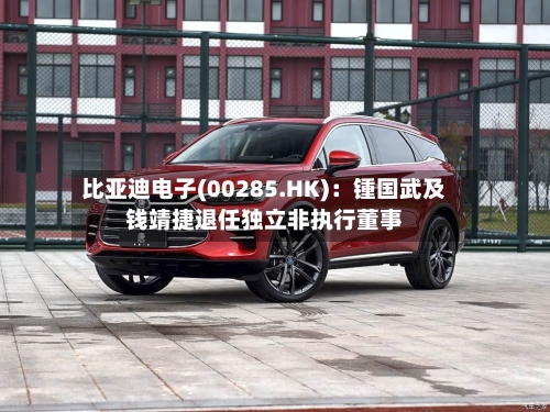 比亚迪电子(00285.HK)：锺国武及钱靖捷退任独立非执行董事