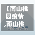 【南山桃园疫情,南山桃园村房价】