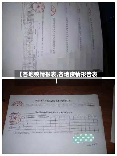 【各地疫情报表,各地疫情报告表】