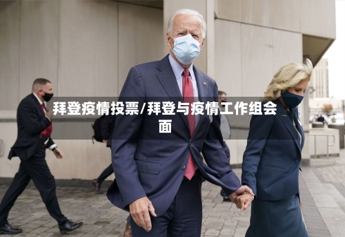拜登疫情投票/拜登与疫情工作组会面