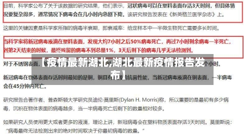【疫情最新湖北,湖北最新疫情报告发布】