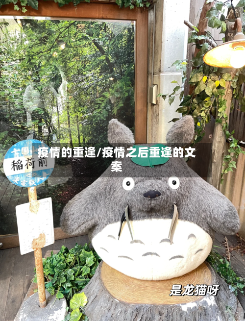 疫情的重逢/疫情之后重逢的文案