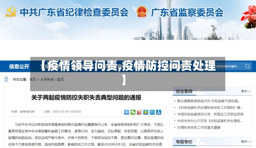 【疫情领导问责,疫情防控问责处理】