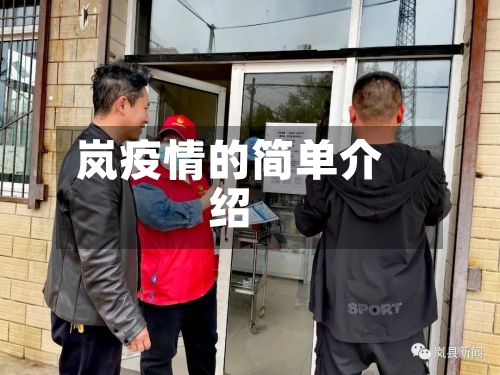 岚疫情的简单介绍