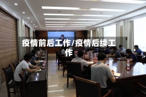 疫情前后工作/疫情后续工作