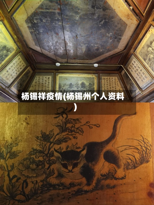 杨锡祥疫情(杨锡州个人资料)