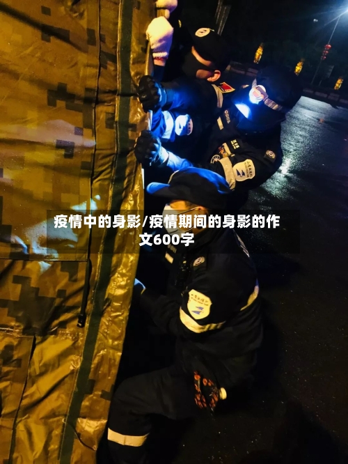 疫情中的身影/疫情期间的身影的作文600字