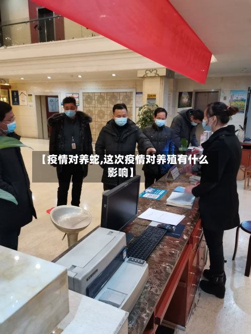 【疫情对养蛇,这次疫情对养殖有什么影响】