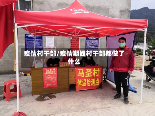 疫情村干部/疫情期间村干部都做了什么