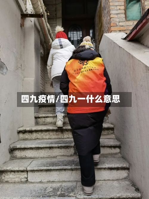 四九疫情/四九一什么意思