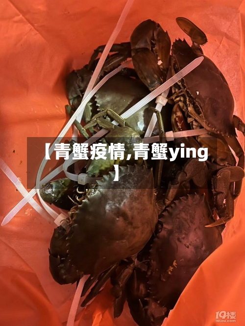 【青蟹疫情,青蟹ying】