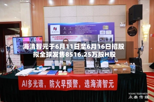 海清智元于6月11日至6月16日招股 拟全球发售8516.25万股H股