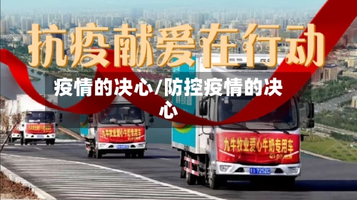 疫情的决心/防控疫情的决心