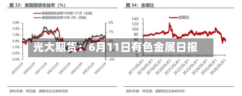 光大期货：6月11日有色金属日报