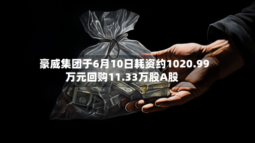 豪威集团于6月10日耗资约1020.99万元回购11.33万股A股