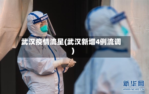 武汉疫情流星(武汉新增4例流调)