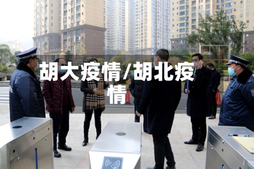 胡大疫情/胡北疫情