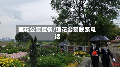 莲花公墓疫情/莲花公墓联系电话