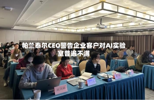 帕兰泰尔CEO警告企业客户对AI实验室普遍不满