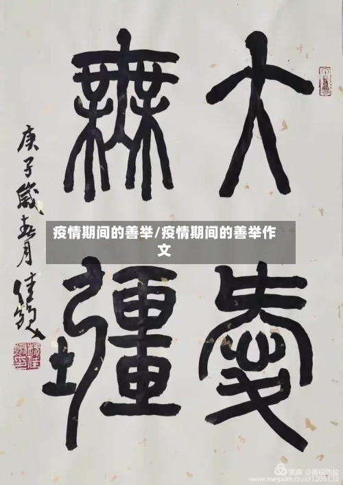 疫情期间的善举/疫情期间的善举作文