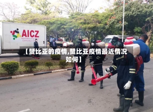 【赞比亚的疫情,赞比亚疫情最近情况如何】