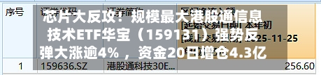 芯片大反攻！规模最大港股通信息技术ETF华宝（159131）强势反弹大涨逾4% ，资金20日增仓4.3亿元